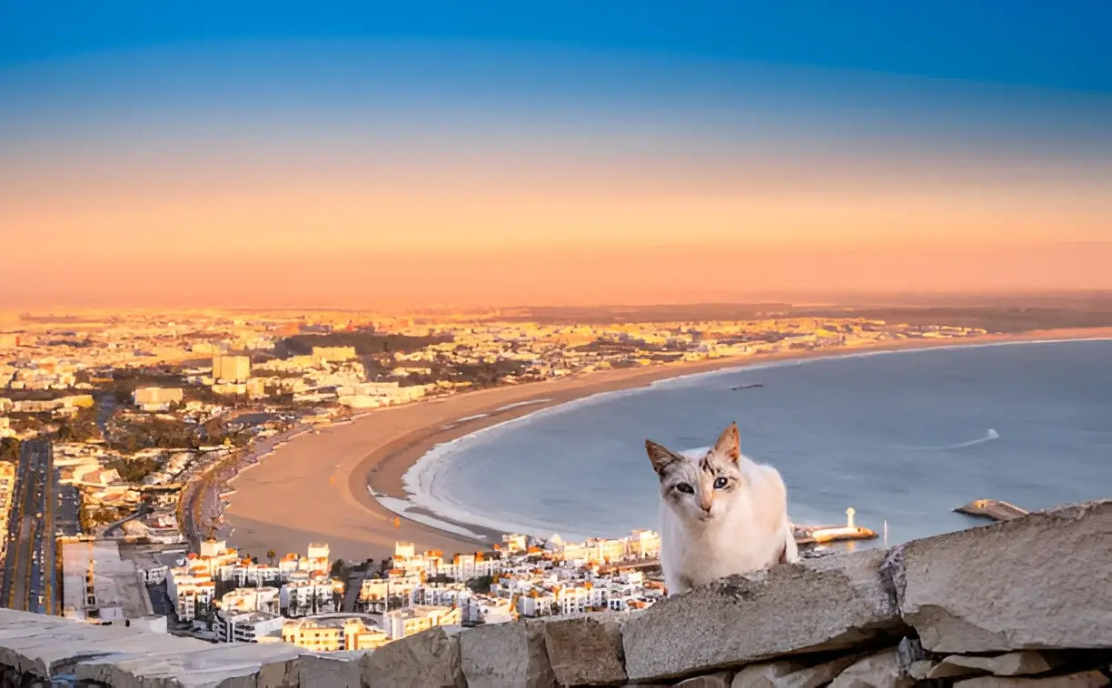 Transport touristique Agadir